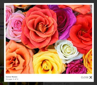 Image Viewers for Wordpress & Blogger