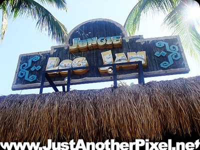 Enchanted Kingdom Jungle Log Jam