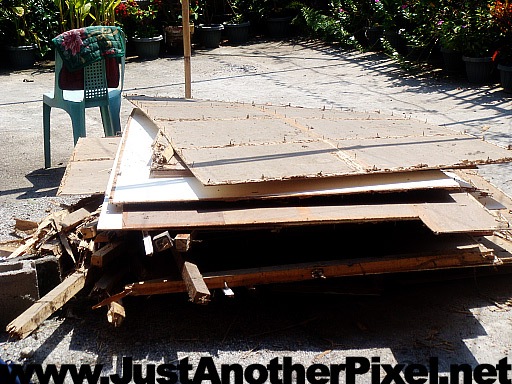 [ceiling wood left over by the termites[2].jpg]