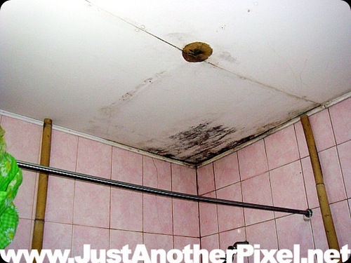 our bathroom ceiling supported by bamboo poles