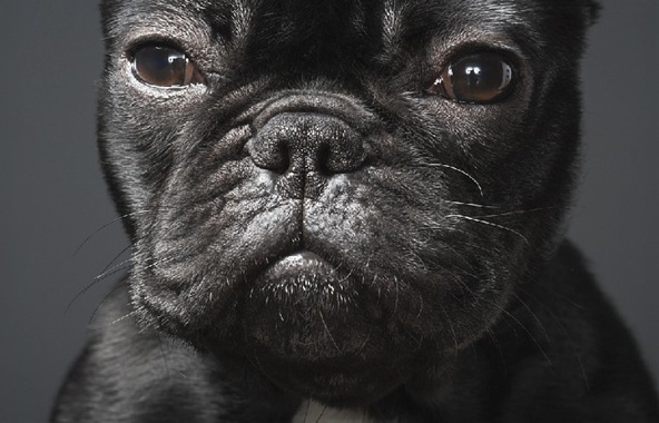 [tim flach8[3].jpg]