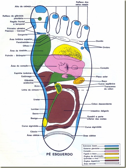 Reflexologia Mapa do Pé Esquerdo Reflexologia Mapa do Pé Esquerdo