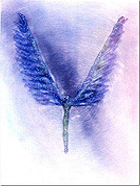 Anjo Hariel Anjo Hariel