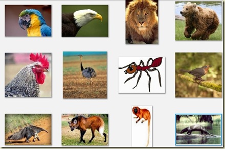 Qual destes animais representa o Brasil Qual destes animais representa o Brasil