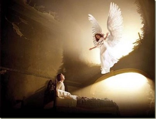 Anjo Poiel Anjo Poiel