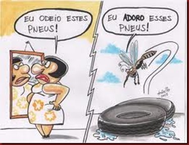 Enem Dengue Mosquito Enem Dengue Mosquito