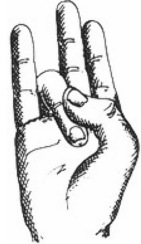 [unha do dedo anular[2].jpg]
