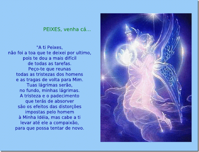 signo14