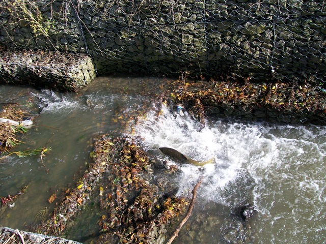 [200905100803.jpg]