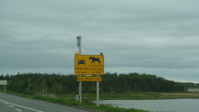 [DSC080012.jpg]