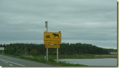 DSC08001