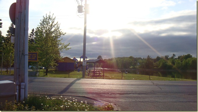 DSC08005