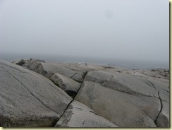 IMG_5791