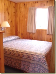 DSC00800