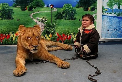 http://lh5.ggpht.com/_bKN77pn74dA/SqB4aojKEmI/AAAAAAAACf4/Tc7UvizKYoM/bad_parenting_39.jpg