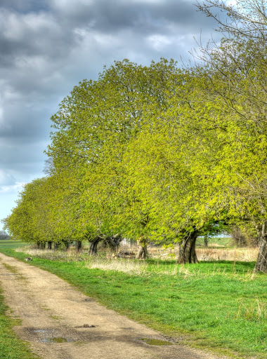 P1070574_68_69_70_71_72_73_tonemapped.JPG