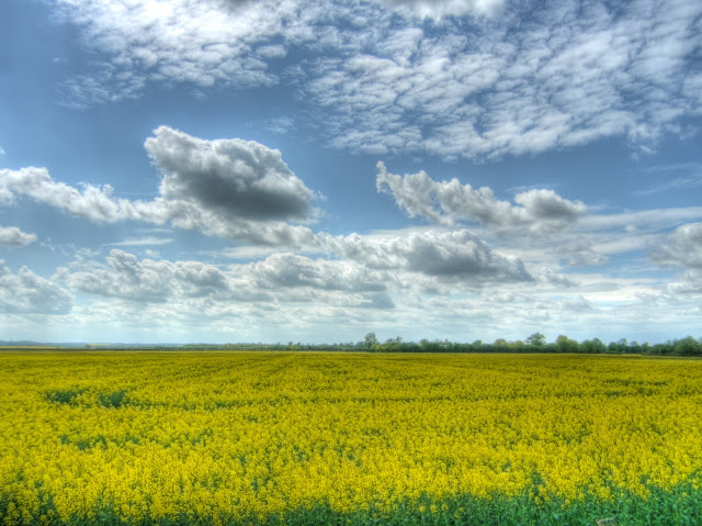 P1090390_84_85_86_87_88_89_tonemapped.jpg