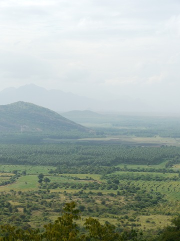 [P10100903.jpg]