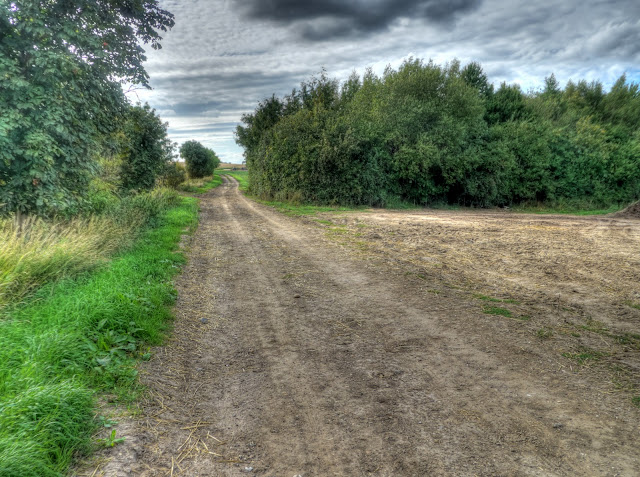 P1160803_4_5_6_7_8_9_tonemapped.jpg