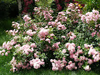 Gradina-2010-Liato  Slideshow