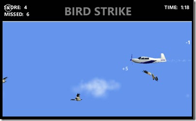 bird strike