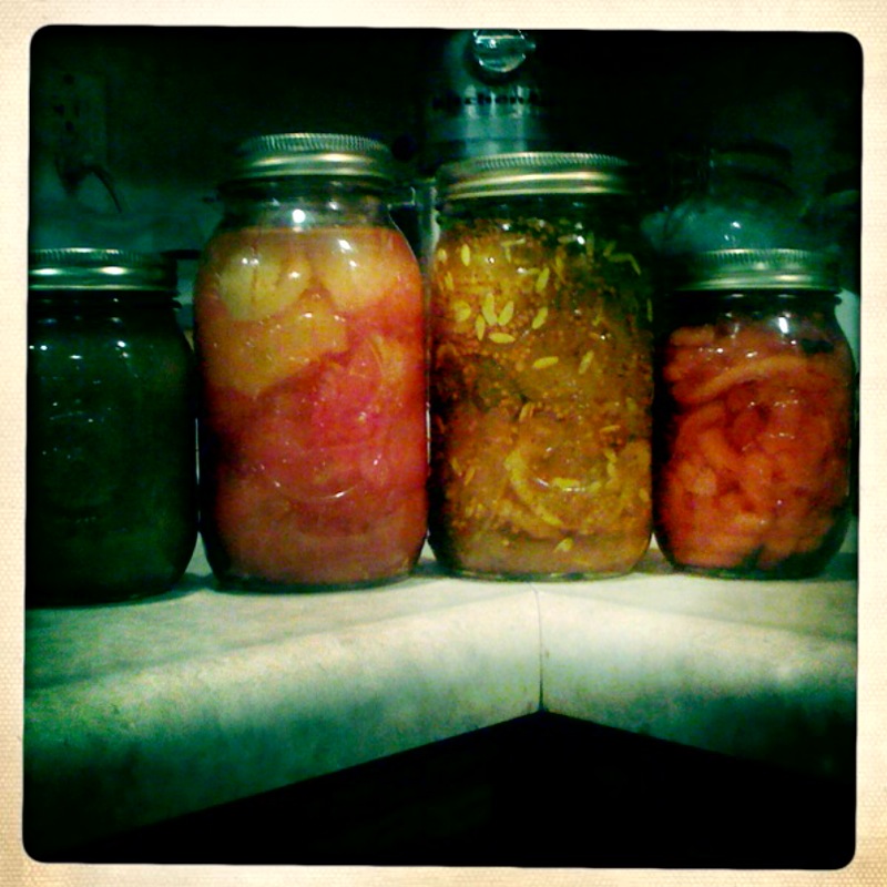 Canned Food