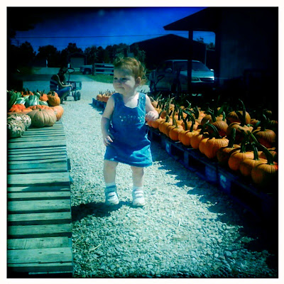Darling Daughter Pumpkin Shopping