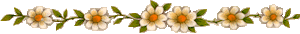 [flowerbar[3].gif]