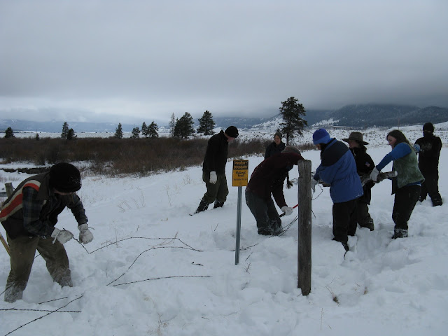Crew - fence removal for buffalo habitat
