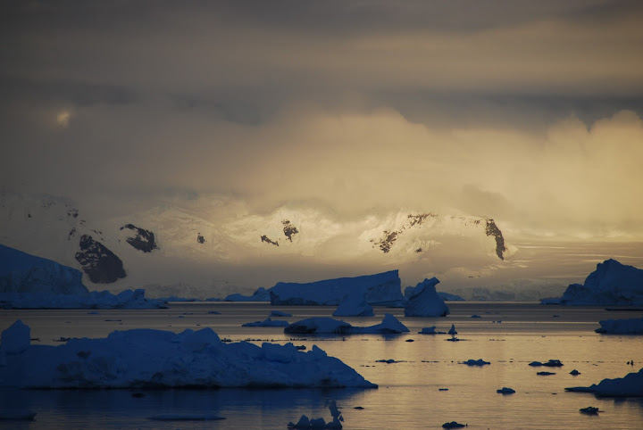 Icebergs, sunrise, Paradise Harbor, Antarctica