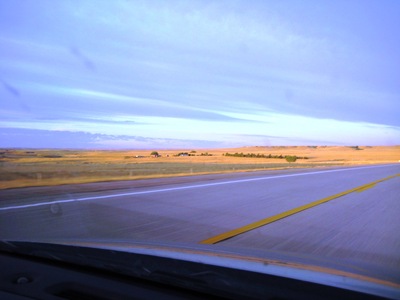 IMG_5954 IMG_5954
