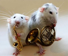banda banda