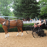 IMG_9071.JPG