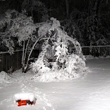 Our First Big Snowfall