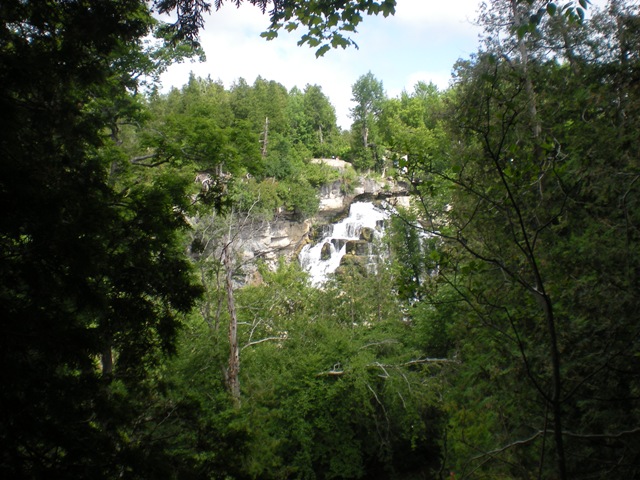 [DSCN23373.jpg]