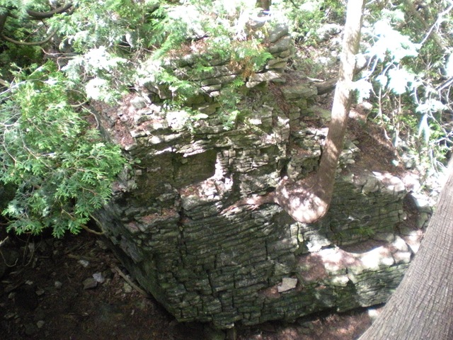 [DSCN23417.jpg]