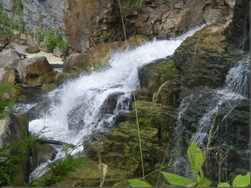 DSCN2350