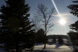 [snow-morning1-300x200[10].jpg]
