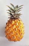 [pineapple[5].jpg]