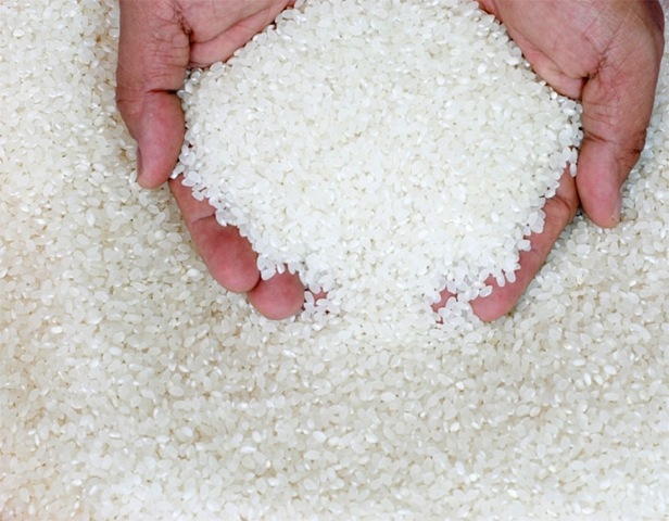 [indonesia_rice_import[5].jpg]
