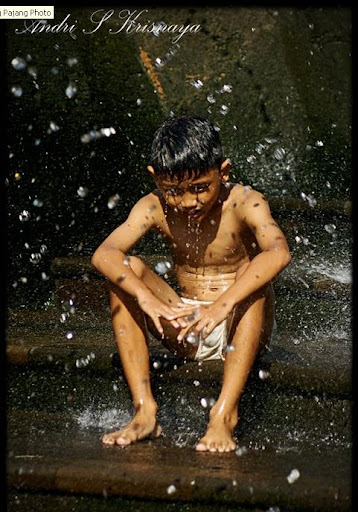 http://lh5.ggpht.com/_bY8lkq00egw/TB7DXG6qwSI/AAAAAAAADbo/VBn8NjF2poE/s512/ngaso.JPG