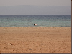 IMG_1951 IMG_1951
