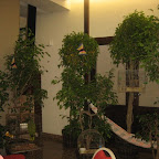 IMG_2057.JPG