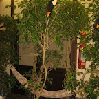IMG_2091.JPG
