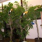 DSC02370.JPG