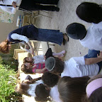 DSC07177.JPG
