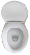 toiletbowl