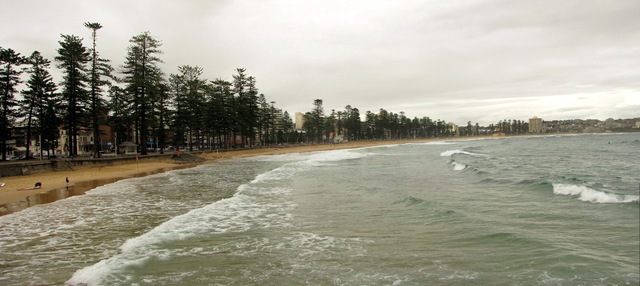 [ManlyBeach_Panorama[3].jpg]