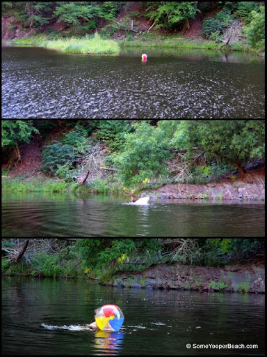 Montreal River