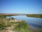 100_0046.JPG